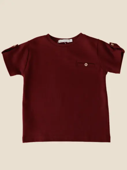 CAMISETA HOMERO VINHO 1